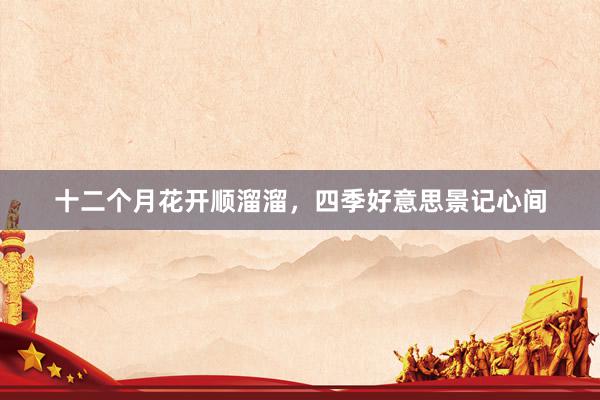 十二个月花开顺溜溜，四季好意思景记心间