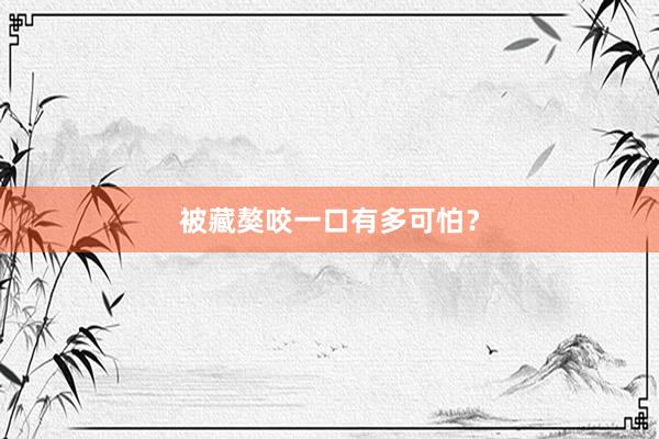 被藏獒咬一口有多可怕?